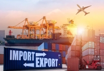 CUNG CẤP DỮ LIỆU XUẤT NHẬP KHẨU