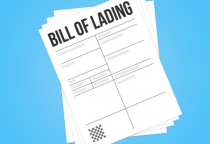 Hướng Dẫn Sử Dụng Dữ Liệu Vận Đơn Xuất Nhập Khẩu 2024