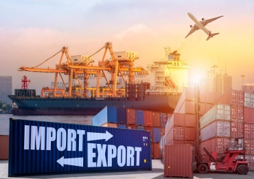 CUNG CẤP DỮ LIỆU XUẤT NHẬP KHẨU